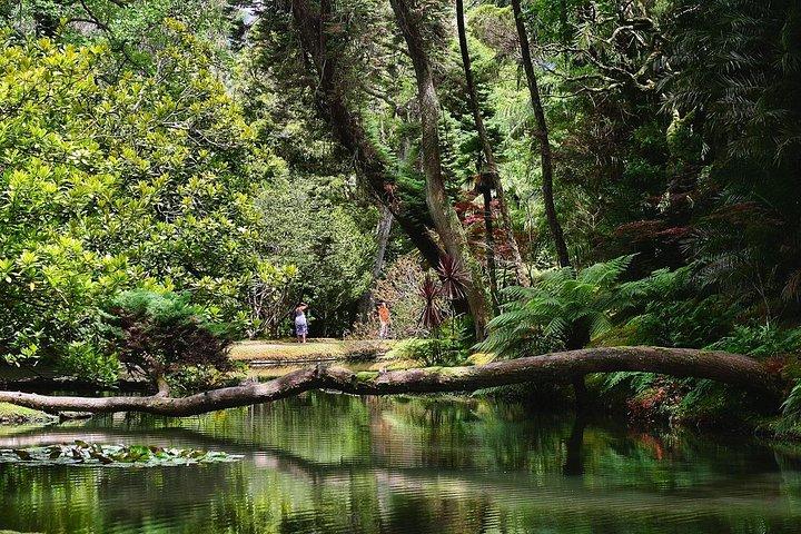 アゾレス サン ミゲル島 | Furnas & Nordeste ランチ付き
