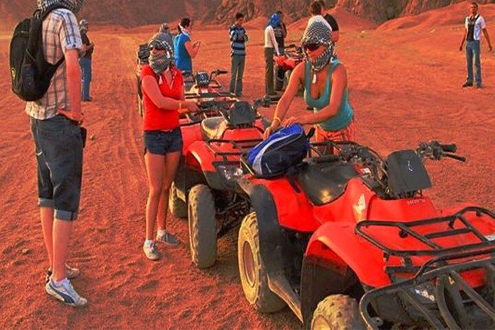 Mega Safari Experience