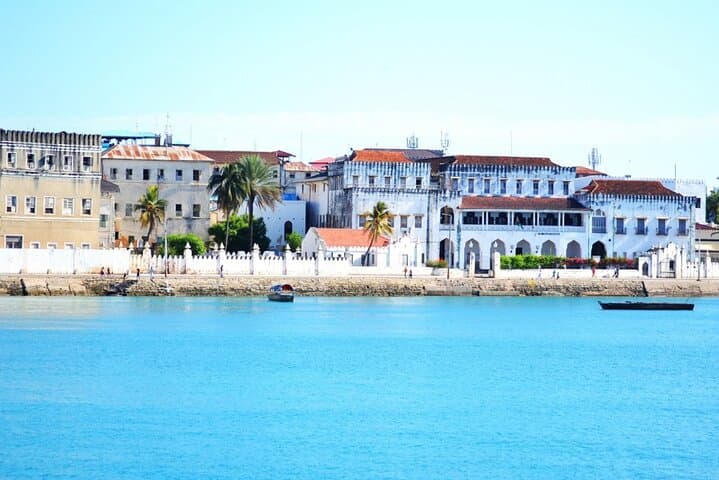 Private Dolphin Tour + Zanzibar Stone town Tour ( City Tour )+ Jozani Forest