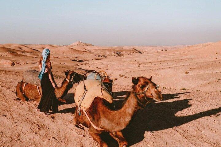 Agafay Desert & Sunset Camel Ride From Marrakech