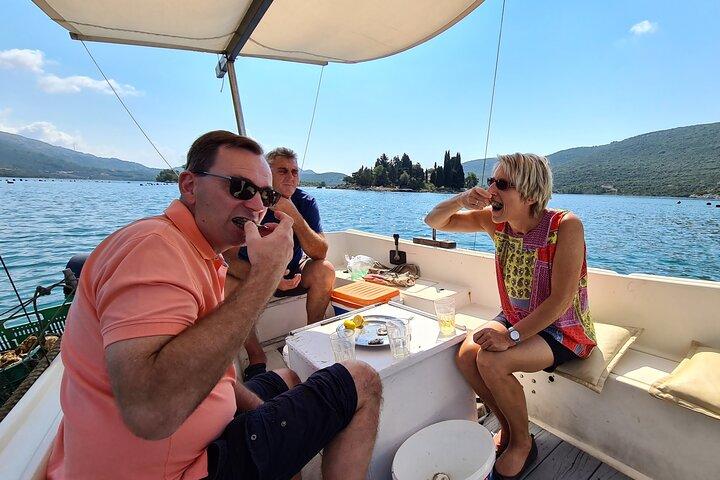 Private Oyster and Wine Tasting Day Trip along Peljesac