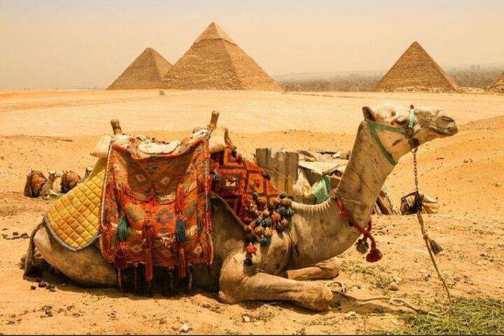 Top private All INC-pyramids,Camel,Quad Bike,Inside Pyramid&Lunch
