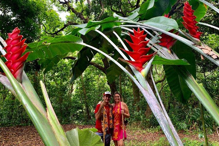 Half-Day Guided Hike to Afareaitu Waterfall