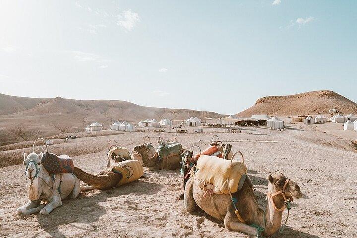 Gita di un giorno a Marrakech nel deserto di Agafay