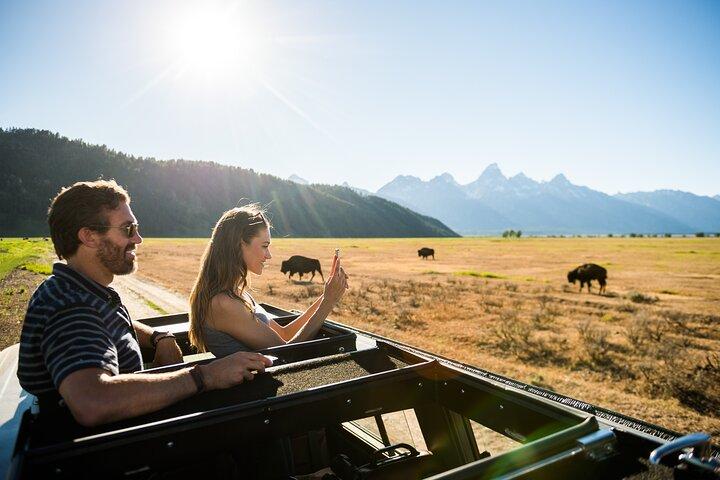 Grand Teton Wildlife Adventure van 4 uur bij zonsondergang