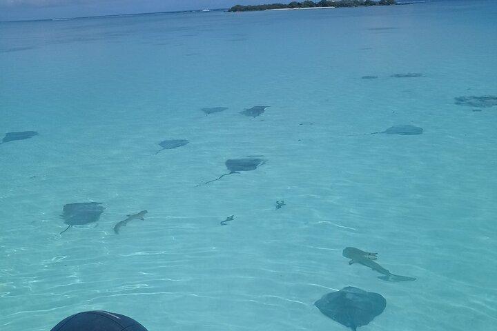 Snorkeling excursion, discovery of the lagoon, small group.