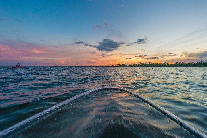 Bioluminescent Clear Kayak Tours in Titusville