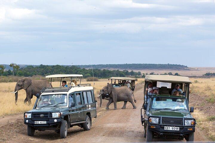 3 dages luksussafaritur i Tanzania