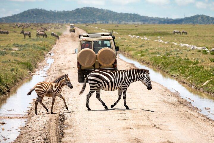 4 dagar Tanzania Wildlife, Materuni vattenfall och Chemka Hot-spring & Coffee Tour