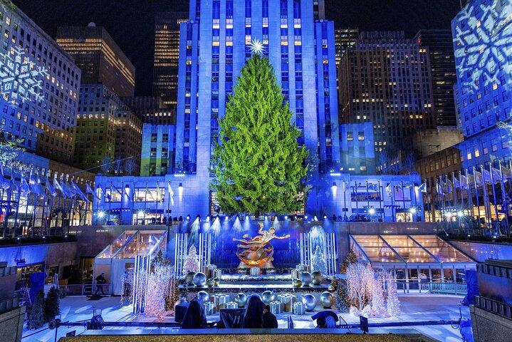 クリスマス ライト プライベート キャリッジ ライド ニューヨーク市