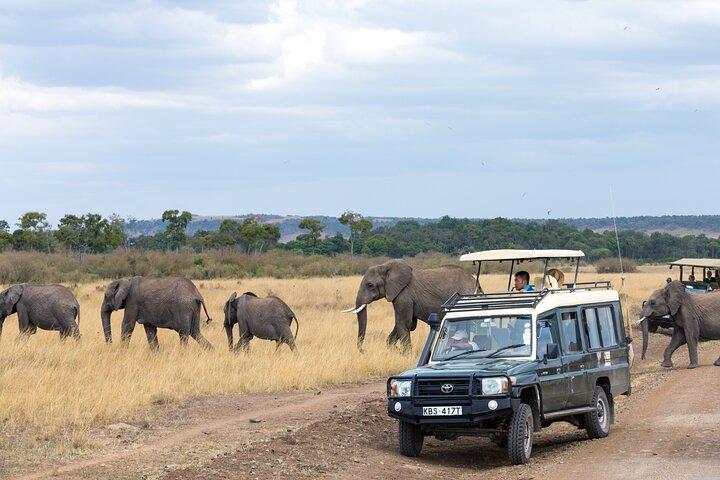 4 dagar Tanzania Wildlife, Materuni vattenfall och Chemka Hot-spring & Coffee Tour