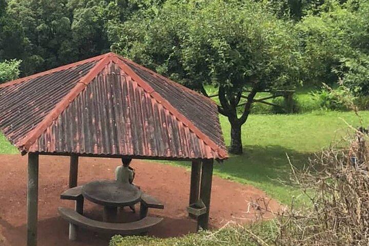 Excursion à Furnas et Nordeste avec Cozido das Furnas