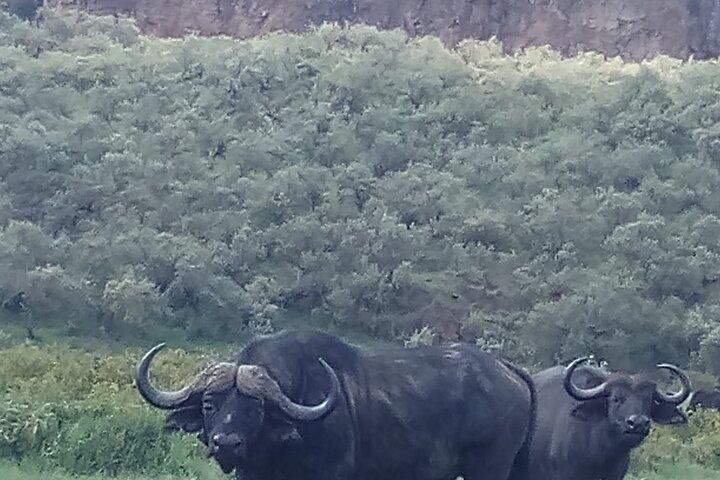 Tre giorni di trekking sul Monte Kenya.