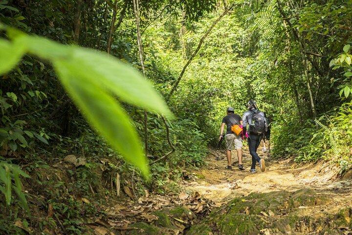 Experiencia de senderismo en la jungla de Phuket en el Parque Nacional Khao Phra Taew