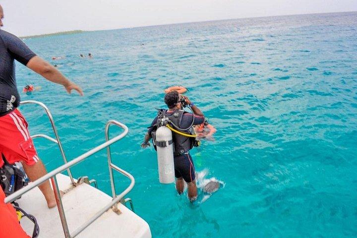 Scuba Diving on Catalina Island | 2 tanks, 2 spots