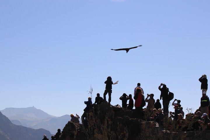 2-dages Colca Canyon, Vicuna Reserve og Condors fra Arequipa
