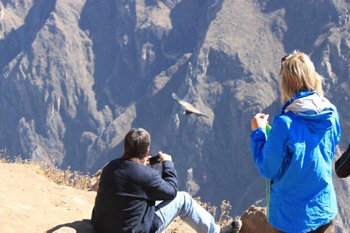 Canyon del Colca di 2 giorni, Riserva di Vicuna e Condor da Arequipa