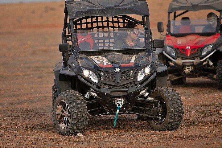1/2 Tag Buggy Marrakech Palmeraie