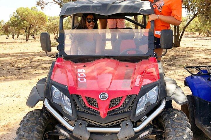 1/2 Tag Buggy Marrakech Palmeraie