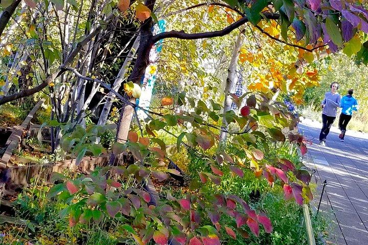 Secrets of the High Line