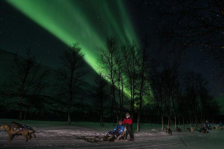 Arctic All-in-One Night: Sliding de cães, snowmobiling e aurora