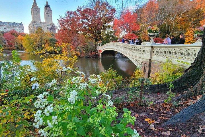 Segreti di Central Park e punti salienti
