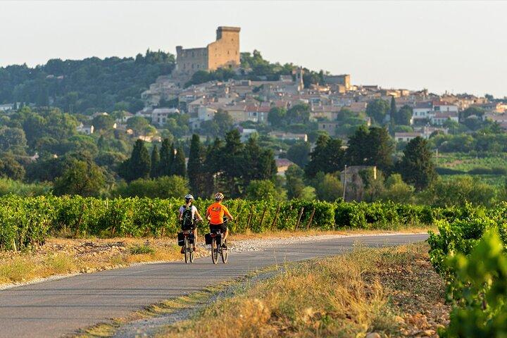 Heldagshyra av elcykel i Luberon