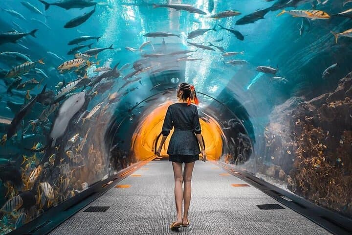 Dubai Aquarium and Underwater Zoo regular pass