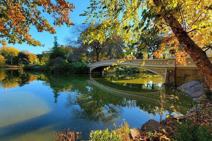 Segreti di Central Park e punti salienti