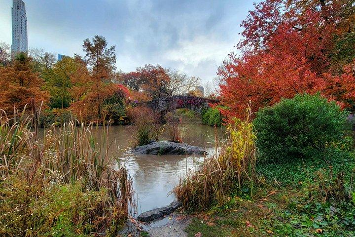 Segreti di Central Park e punti salienti