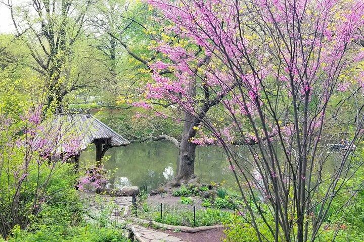 Segreti di Central Park e punti salienti