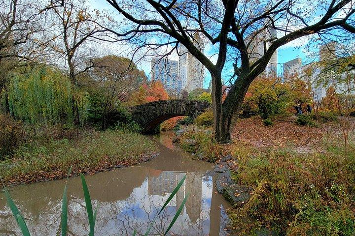 Segreti di Central Park e punti salienti