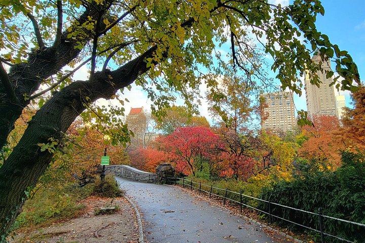 Segreti di Central Park e punti salienti