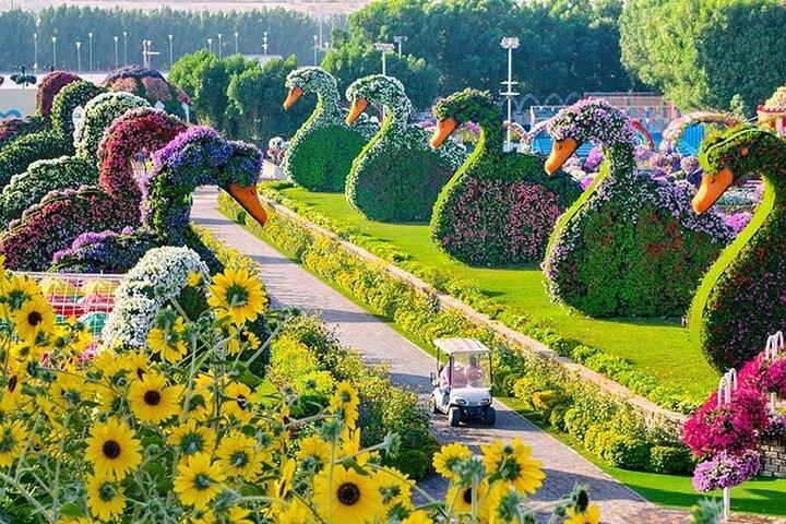 Dubai Miracle Garden adgangsbilletter