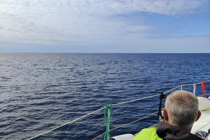 Zadar: Private Sailing Sunset Tour with champagne