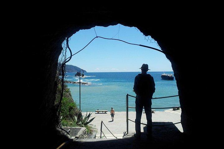 Excursão privada a Cinque Terre de minivan e balsa saindo de Pisa
