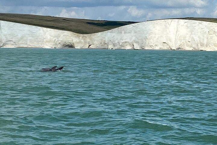 Seven Sisters Boat Trip