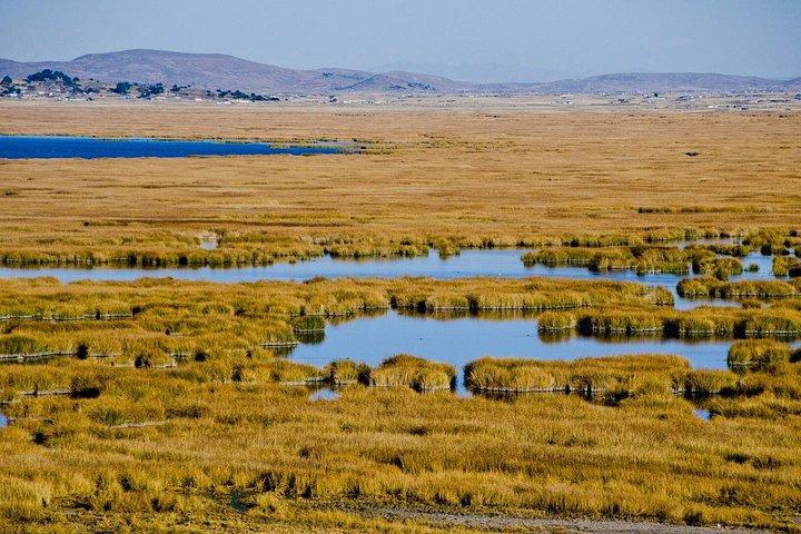 Chucuito Bike Tour from Puno