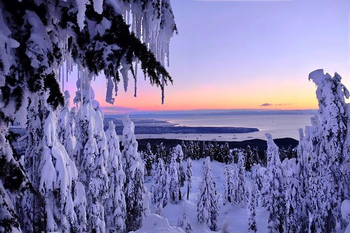 Snesko i Vancouvers Winter Wonderland