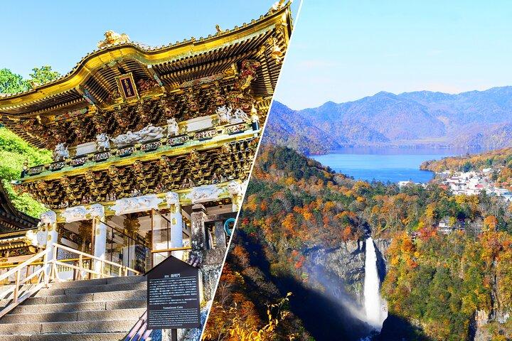 Tour privato di mezza giornata Nikko: autista parlante inglese, nessuna guida