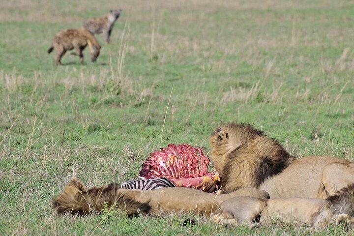 Dagstur til Ngorongoro-krateret