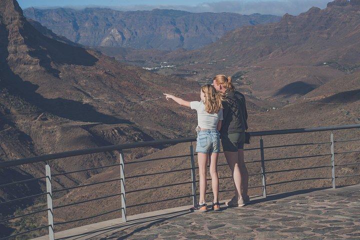 Custom Private & VIP Highlights Tour på Gran Canaria