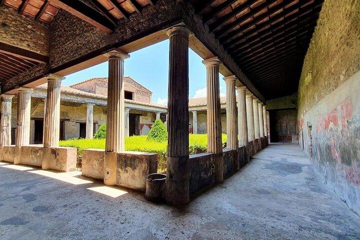 ナポリ発ポンペイ、ヘルクラネウム、ヴェスヴィオの日帰り旅行