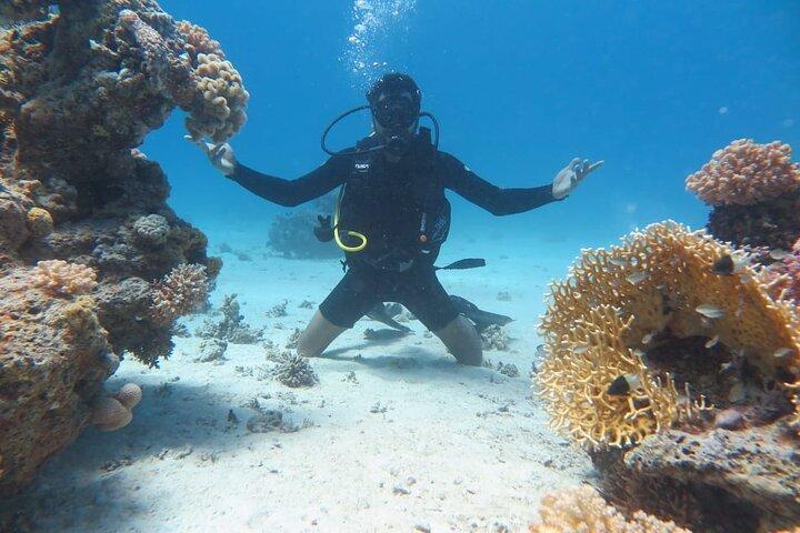 Intro Scuba Diving
