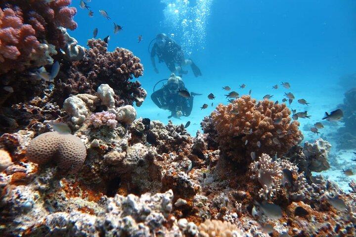 Intro Scuba Diving