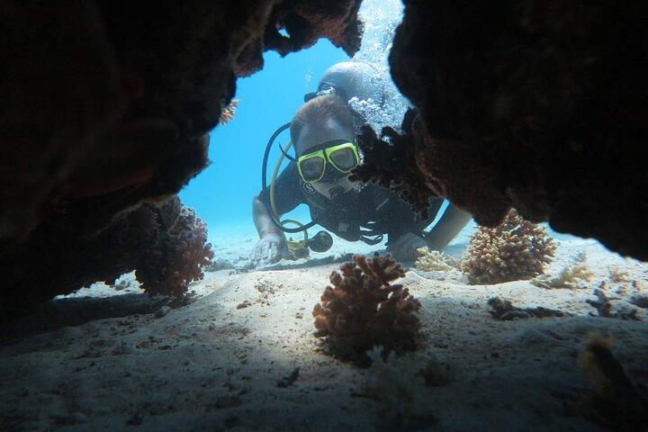 Intro Scuba Diving