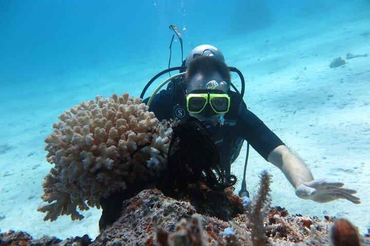Intro Scuba Diving