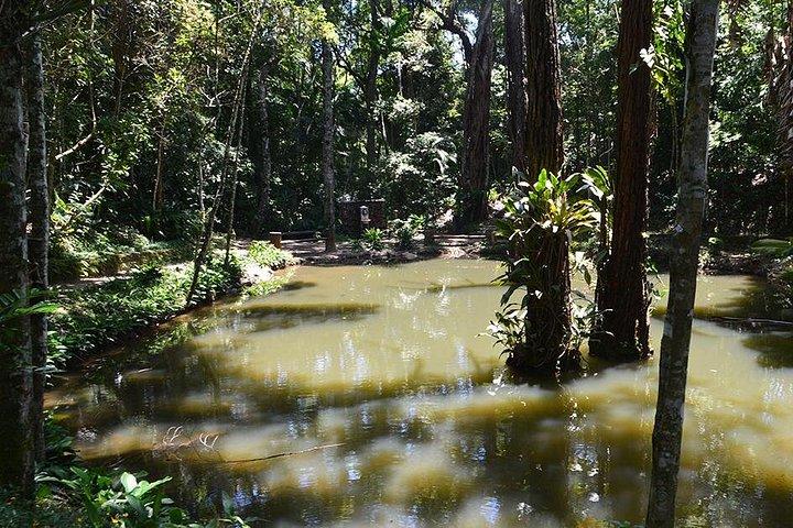 チジュカ国立公園 - エコ ハイキング ツアー