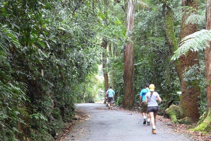 チジュカ国立公園 - エコ ハイキング ツアー