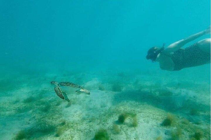 Snorkeling in Paradise - Videos Included